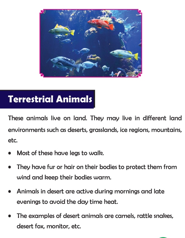 Grade 3 Science Lesson 2 Animal Habitat And Food Habits | Primary Science