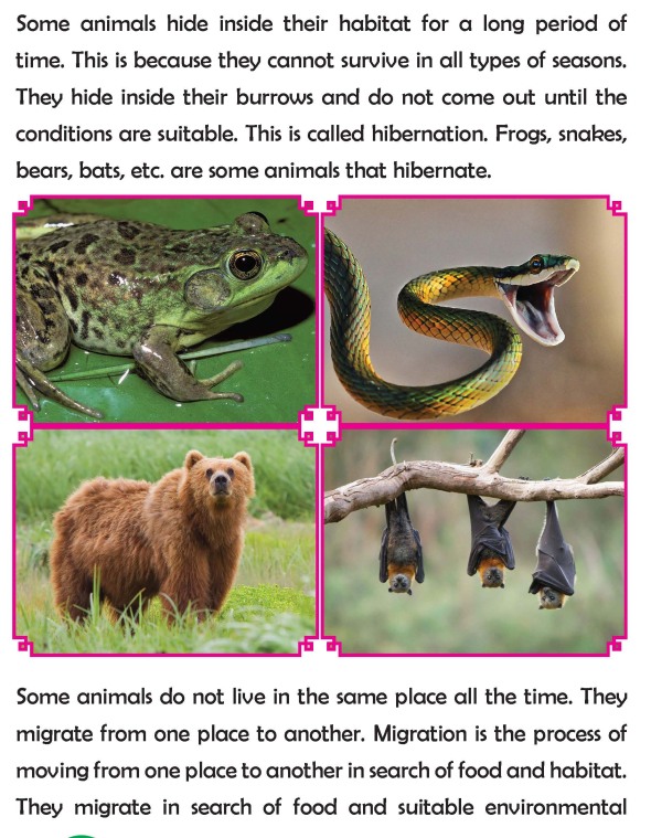 Grade 3 Science Lesson 3 Different Animals Seen In Different Times And  Seasons | Primary Science