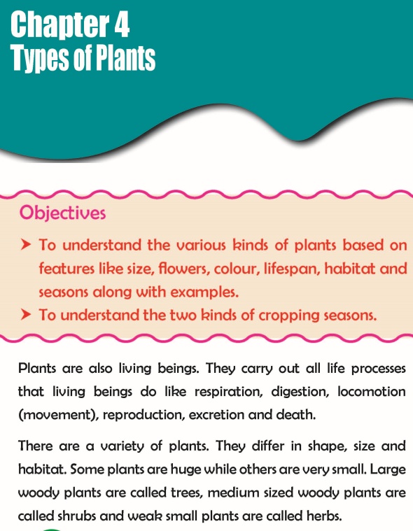 Grade 3 Science Lesson 4 Types Of Plants