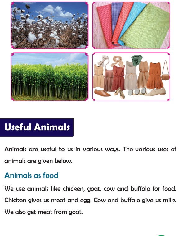 Grade 3 Science Lesson 5 Advantages Of Plants And Animals | Primary Science