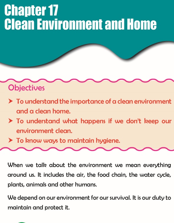 Grade 3 Science Lesson 17 Clean Environment And Home