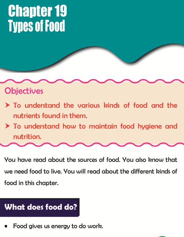 Grade 3 Science Lesson 19 Types Of Food
