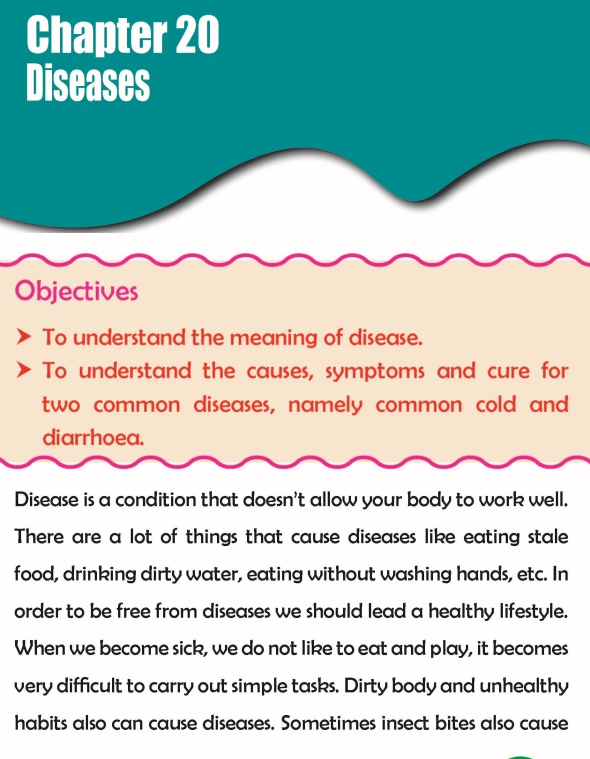 Grade 3 Science Lesson 20 Diseases