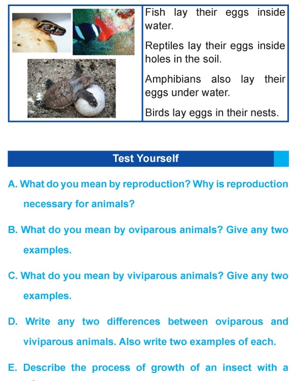 Grade 4 Science Lesson 2 Reproduction in Animals | Primary Science