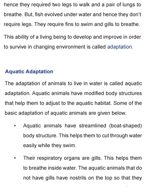 Grade 4 Science Lesson 3 Aquatic and Terrestrial Adaptation | Primary  Science