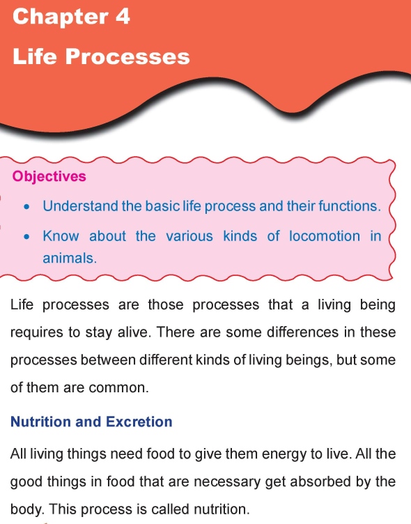 Grade 4 Science Lesson 4 Life Processes