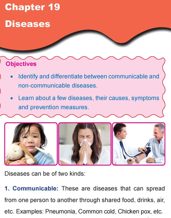 Grade 4 Science Lesson 19 Diseases