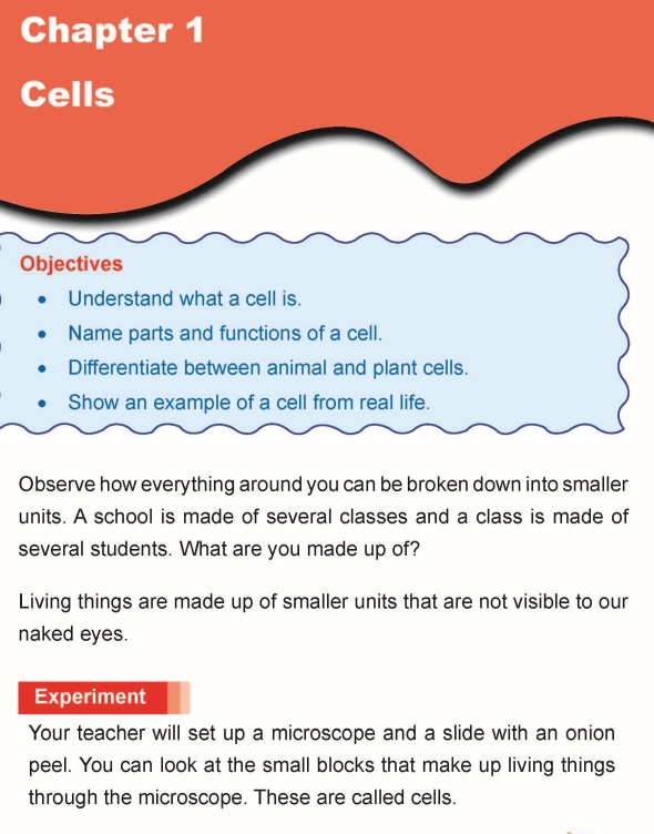 Grade 5 Science Lesson 1 Cells