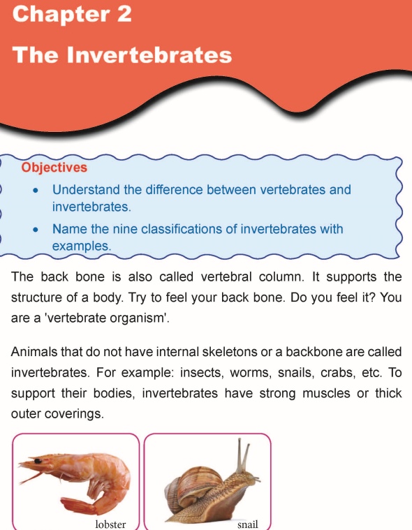 Grade 5 Science Lesson 2 The Invertebrates