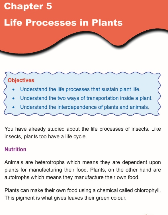Grade 5 Science Lesson 5 Life Processes in Plants