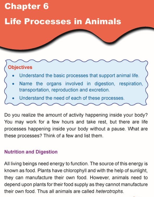 Grade 5 Science Lesson 6 Life Processes in Animals