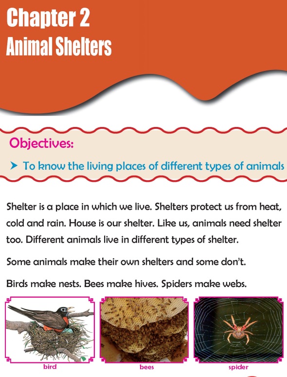 Grade 2 Science Lesson 2 Animal Shelters