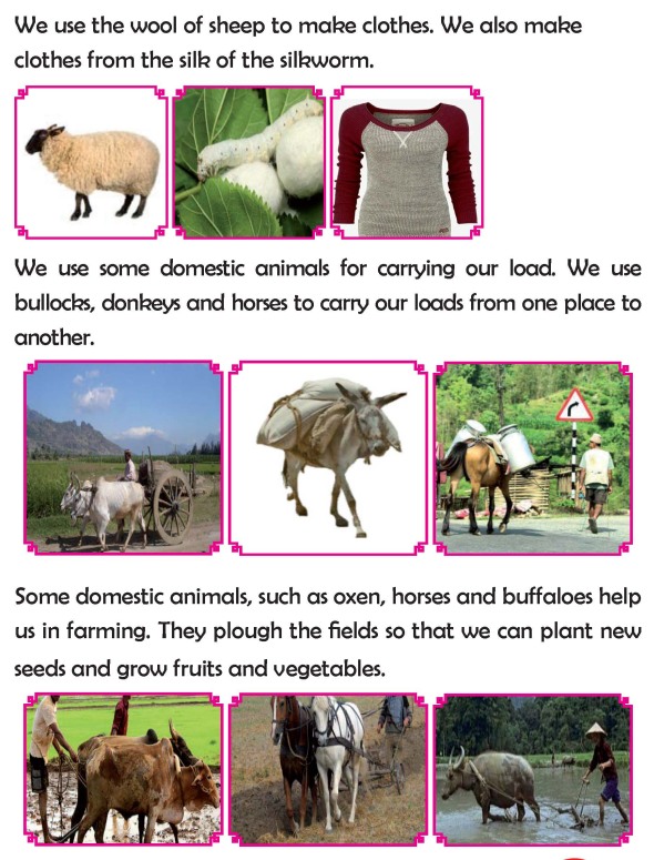 Grade 2 Science Lesson 3 Domestic and Wild Animals | Primary Science