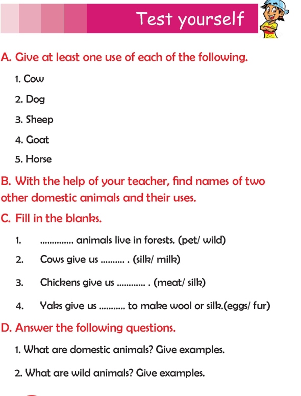 Grade 2 Science Lesson 3 Domestic and Wild Animals | Primary Science