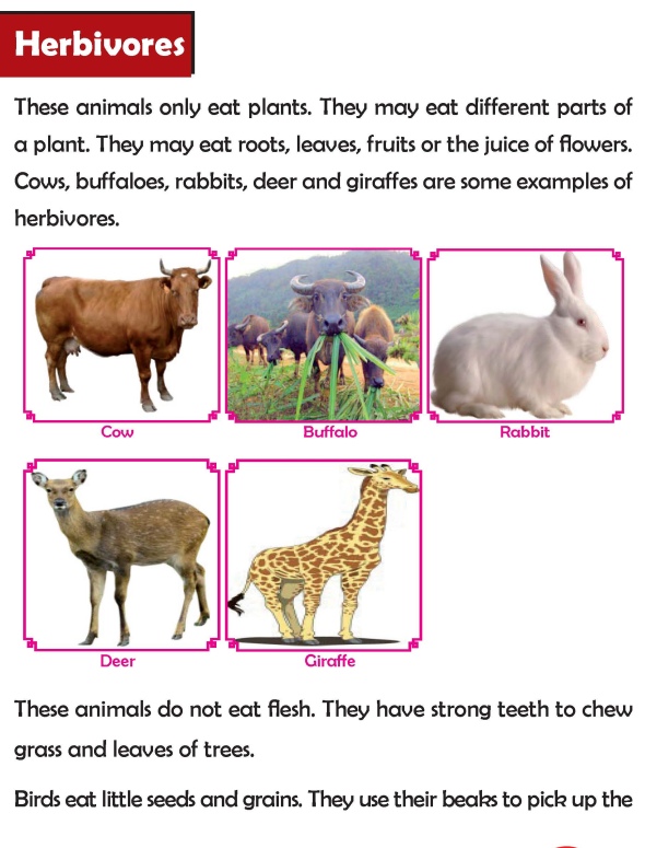 Grade 2 Science Lesson 4 Food Habits of Animals | Primary Science