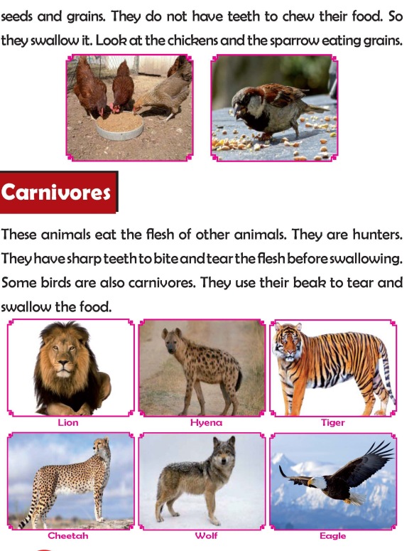 Grade 2 Science Lesson 4 Food Habits of Animals | Primary Science
