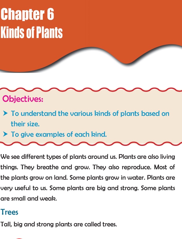 Grade 2 Science Lesson 6 Kinds of Plants